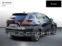 2024 Lexus NX