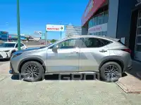 2024 Lexus NX