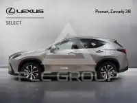 2024 Lexus NX