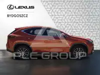 2024 Lexus NX