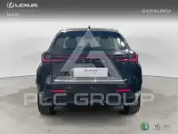 2024 Lexus NX