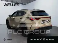2024 Lexus NX