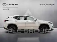 2024 Lexus NX