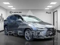2024 Lexus NX