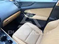 2024 Lexus NX