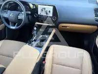 2024 Lexus NX