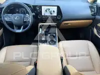 2024 Lexus NX