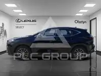 2024 Lexus NX