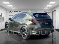 2024 Lexus NX