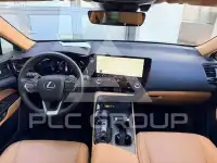 2024 Lexus NX