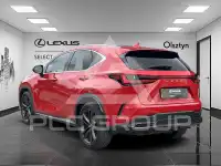 2024 Lexus NX