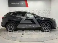 2024 Lexus NX