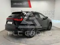 2024 Lexus NX