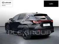 2024 Lexus NX