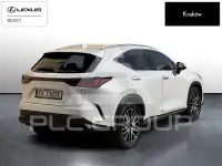 2024 Lexus NX