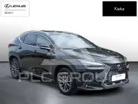 2024 Lexus NX