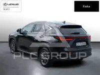 2024 Lexus NX