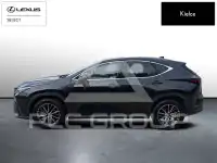 2024 Lexus NX