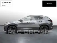 2024 Lexus NX