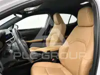 2024 Lexus UX