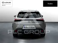 2024 Lexus UX