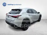 2024 Lexus UX