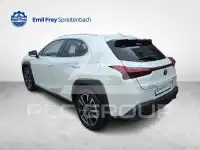 2024 Lexus UX