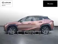 2024 Lexus UX