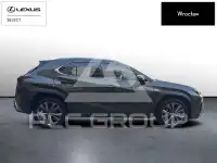 2024 Lexus UX