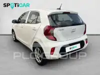 2024 KIA Picanto