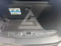 2024 Ford FOCUS