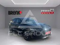2024 Ford FOCUS