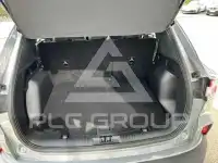 2024 Ford Kuga