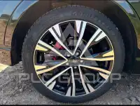 2024 Ford Kuga