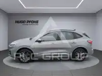 2024 Ford Kuga