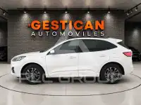 2024 Ford Kuga