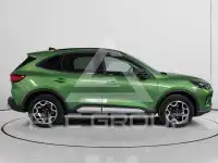 2024 Ford Kuga