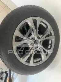 2024 Ford Kuga