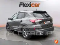 2024 Ford Kuga