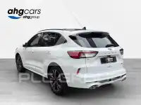 2024 Ford Kuga
