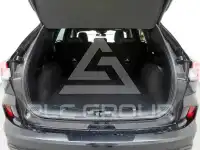 2024 Ford Kuga