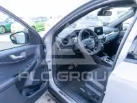 2024 Ford Kuga