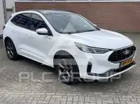 2024 Ford Kuga