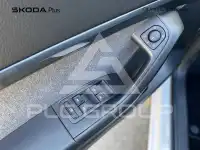 2024 Seat Alteca