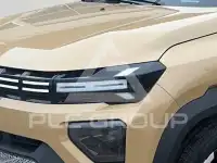 2025 Dacia Spring