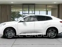 2025 BMW iX