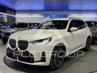 2025 BMW X3