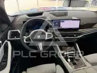2025 BMW X6