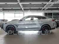 2025 BMW X6