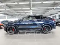 2025 BMW X6